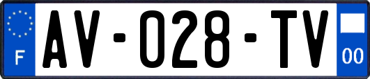 AV-028-TV