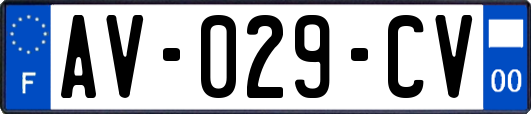 AV-029-CV