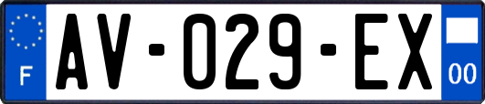 AV-029-EX