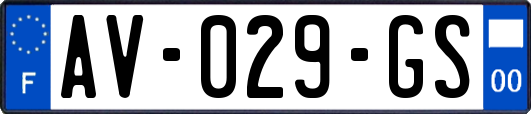 AV-029-GS
