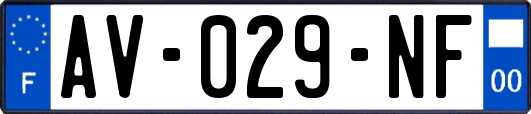 AV-029-NF
