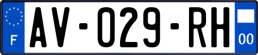 AV-029-RH