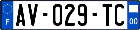 AV-029-TC