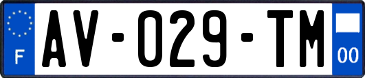 AV-029-TM