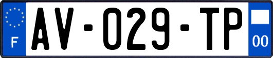 AV-029-TP