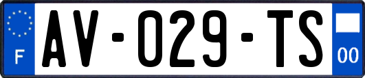 AV-029-TS