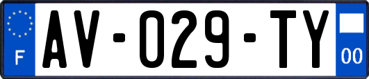AV-029-TY