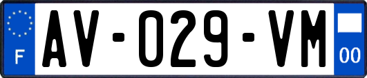 AV-029-VM