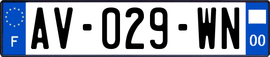 AV-029-WN