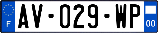 AV-029-WP