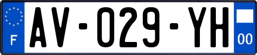 AV-029-YH