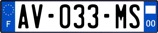 AV-033-MS