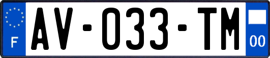 AV-033-TM