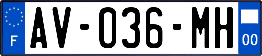 AV-036-MH