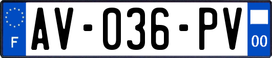 AV-036-PV