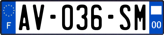 AV-036-SM
