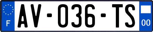 AV-036-TS