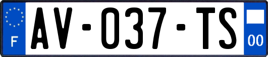 AV-037-TS