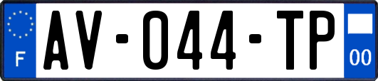 AV-044-TP