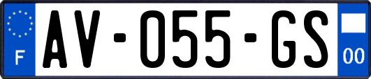 AV-055-GS