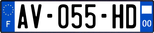 AV-055-HD