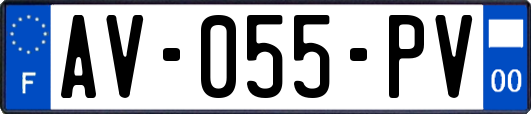 AV-055-PV