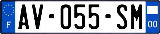AV-055-SM