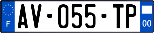 AV-055-TP