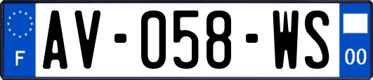 AV-058-WS