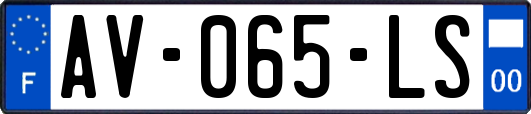 AV-065-LS