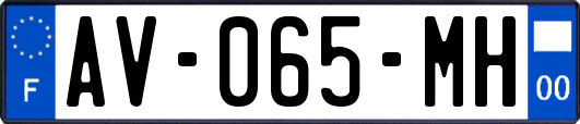 AV-065-MH