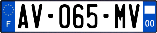 AV-065-MV