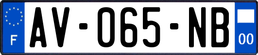 AV-065-NB