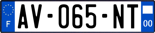 AV-065-NT