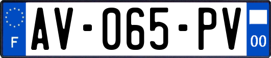 AV-065-PV