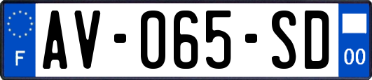 AV-065-SD