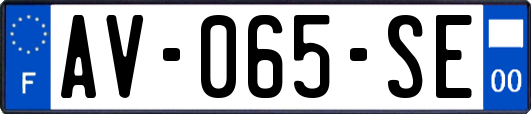 AV-065-SE