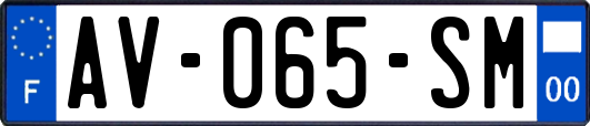 AV-065-SM
