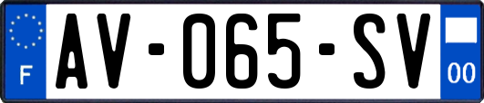 AV-065-SV