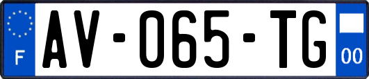 AV-065-TG