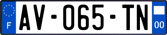 AV-065-TN