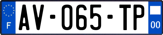AV-065-TP