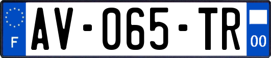 AV-065-TR