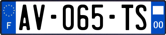AV-065-TS
