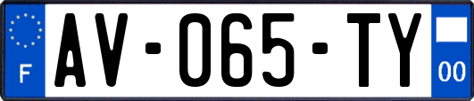 AV-065-TY