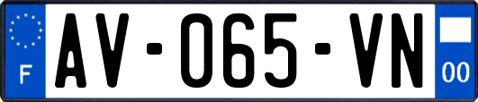 AV-065-VN