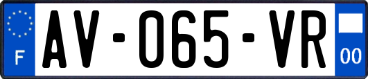 AV-065-VR