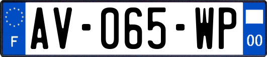 AV-065-WP