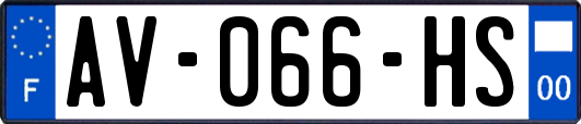 AV-066-HS