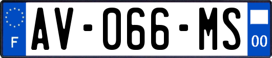 AV-066-MS